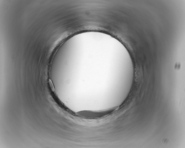 X0000093560015200711051046