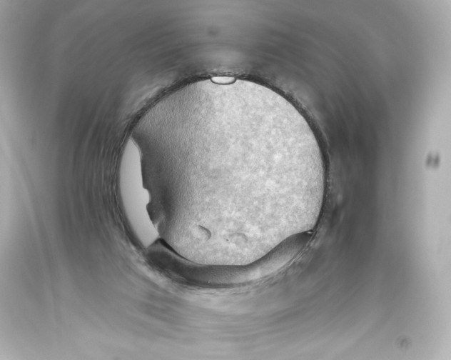 X0000093560017200711051046