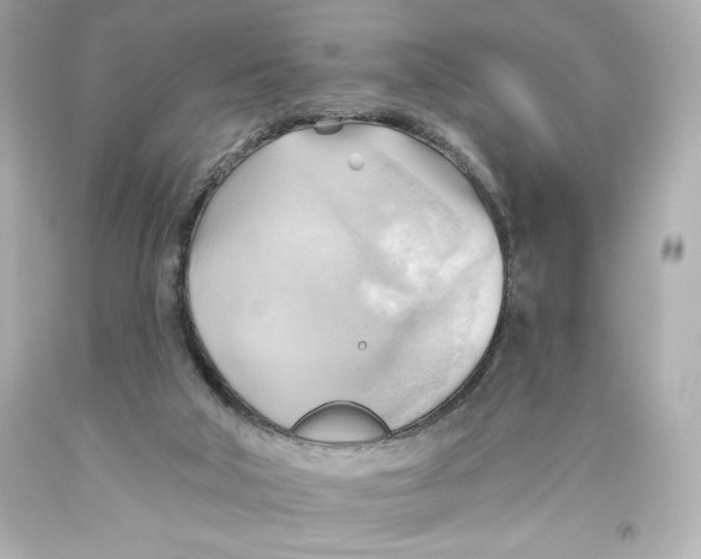 X0000093560018200711051046