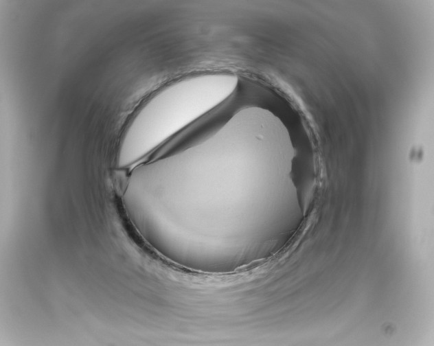 X0000093560019200711051046