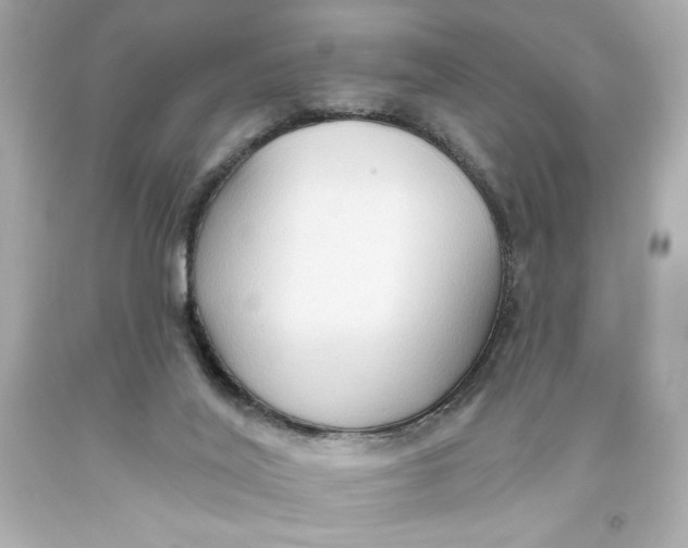 X0000093560020200711051046