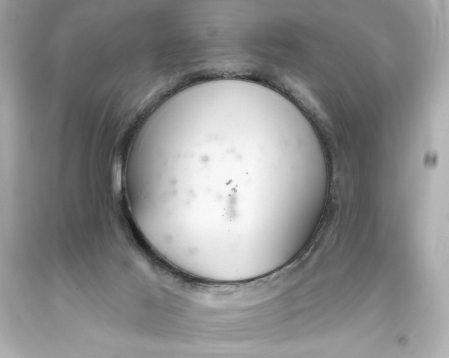 X0000093560021200711051046