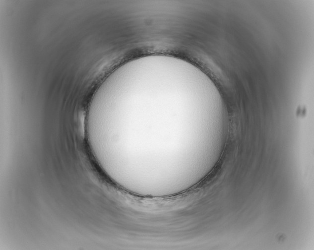 X0000093560022200711051046