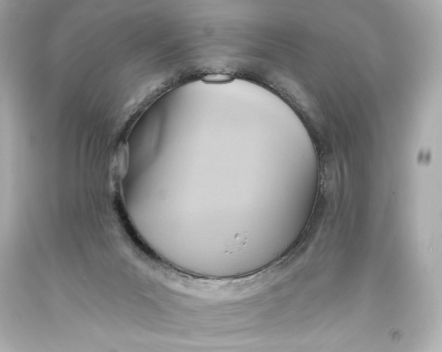 X0000093560023200711051046