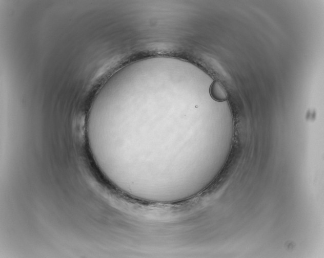 X0000093560024200711051046