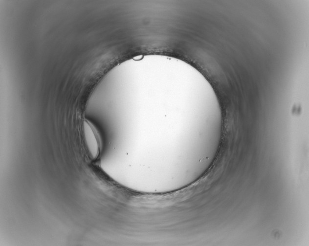 X0000093560025200711051046