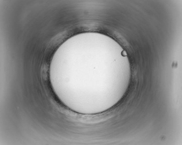 X0000093560026200711051046