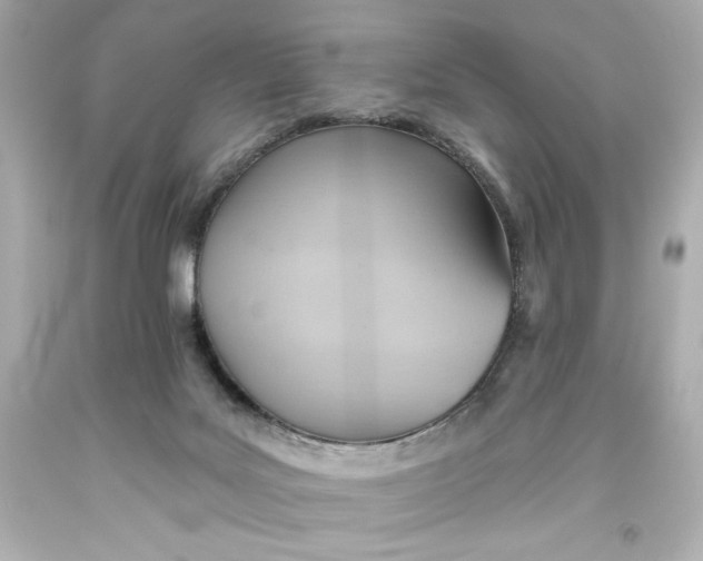 X0000093560027200711051046