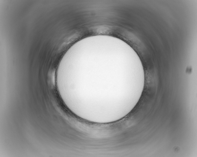 X0000093560028200711051046