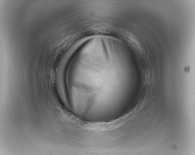 X0000093560029200711051046