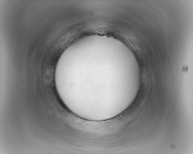 X0000093560030200711051046