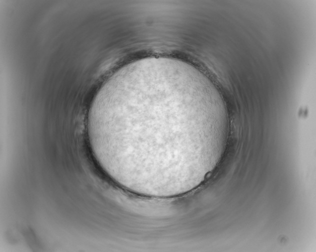 X0000093560032200711051046