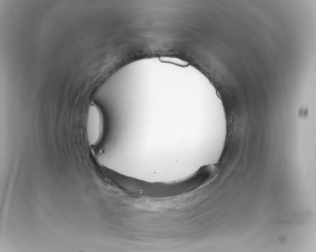 X0000093560033200711051046