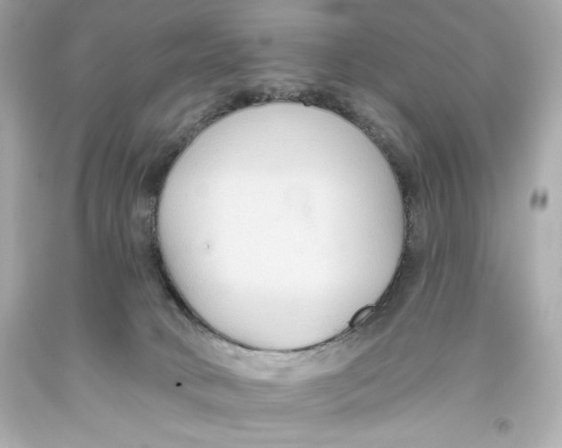 X0000093560034200711051046