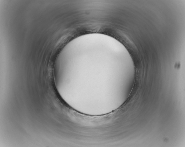 X0000093560035200711051046