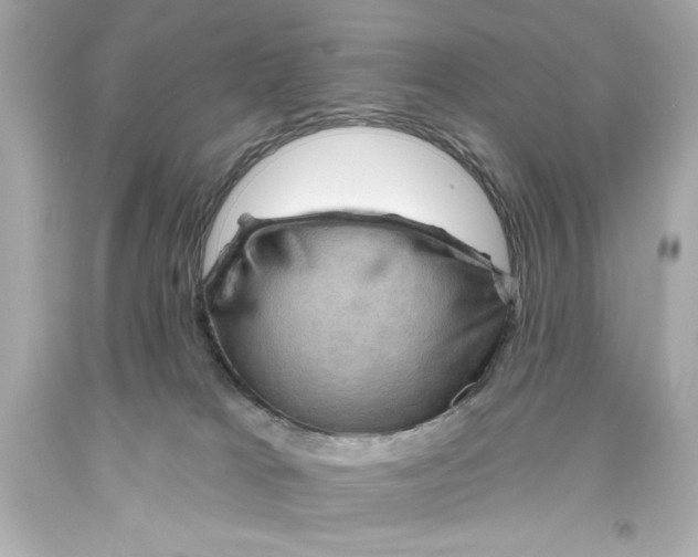X0000093560037200711051046
