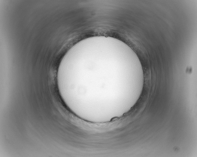 X0000093560038200711051046