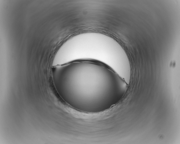 X0000093560039200711051046