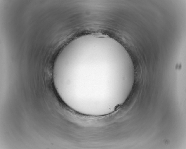 X0000093560040200711051046