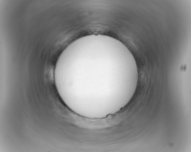 X0000093560042200711051046