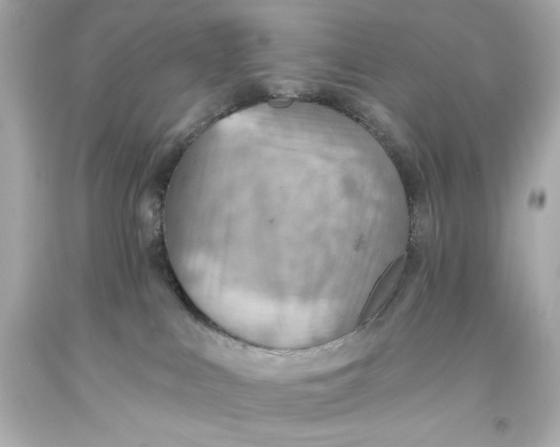 X0000093560043200711051046