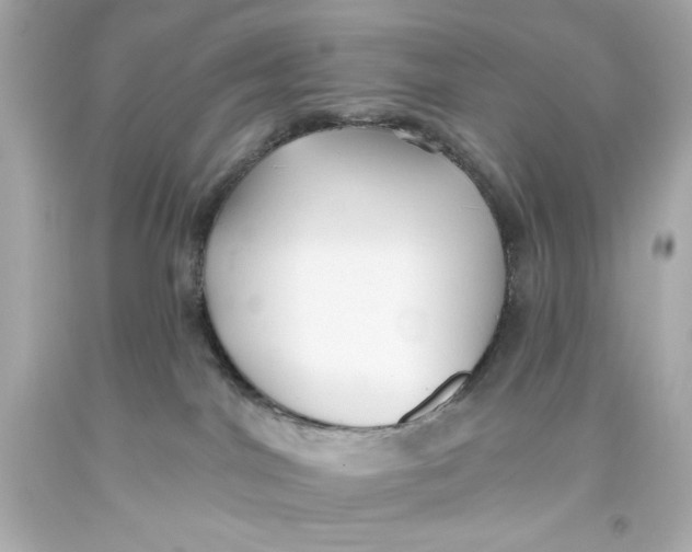 X0000093560044200711051046