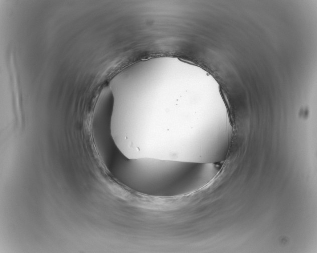 X0000093560045200711051046