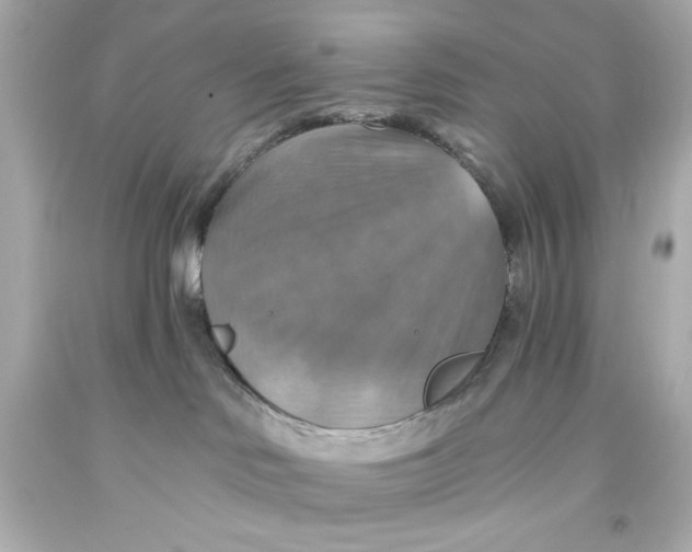 X0000093560046200711051046