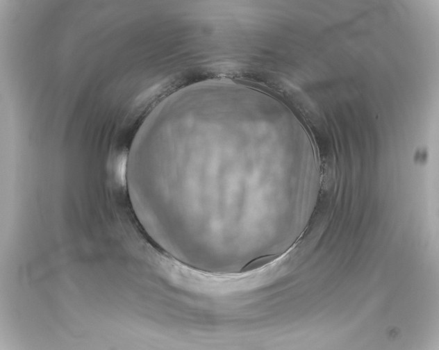 X0000093560047200711051046