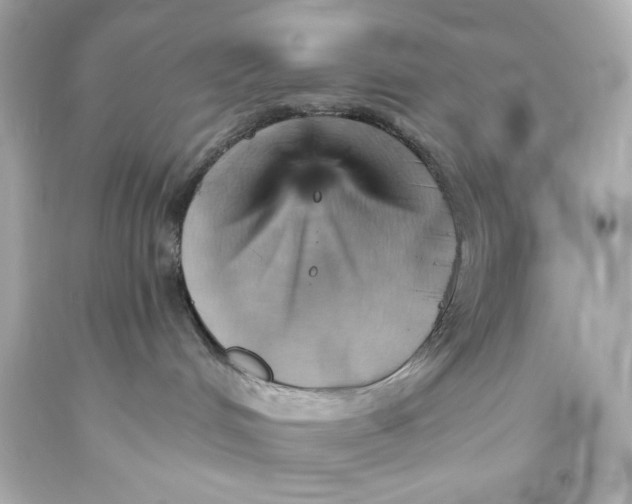 X0000093560048200711051046