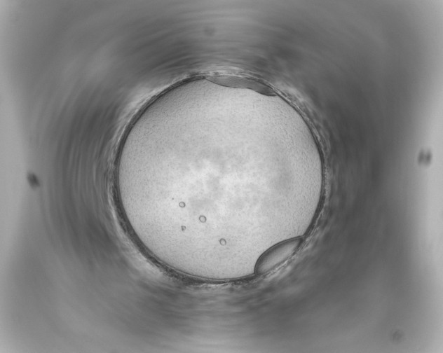 X0000093560049200711051045