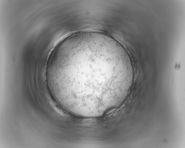 X0000093560050200711051045