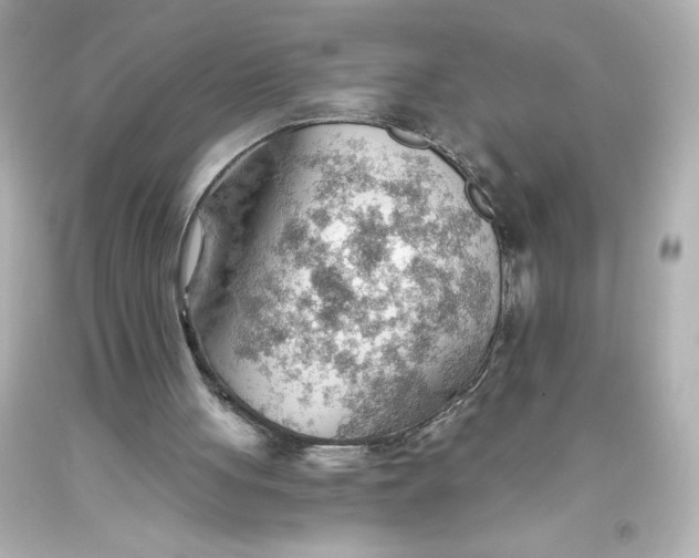 X0000093560051200711051045