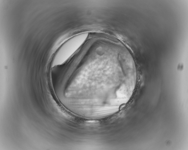 X0000093560053200711051045