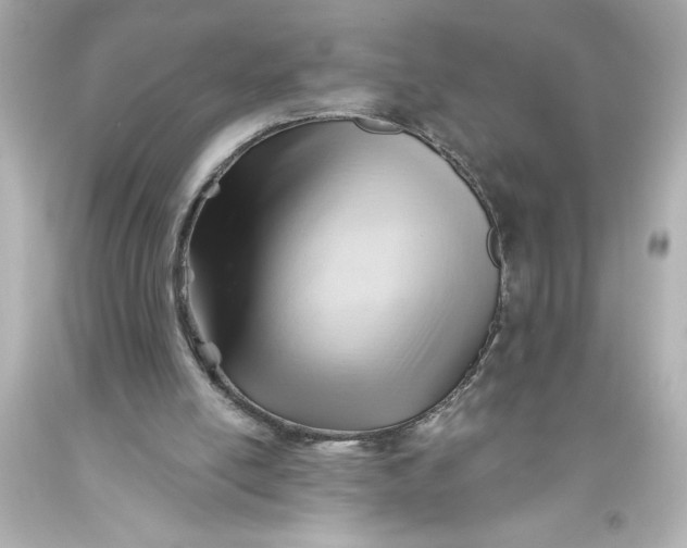 X0000093560054200711051045