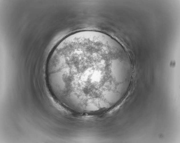 X0000093560055200711051045