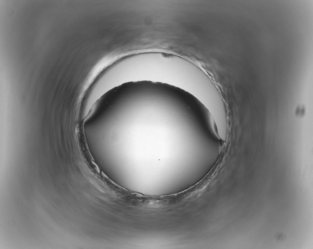 X0000093560056200711051045