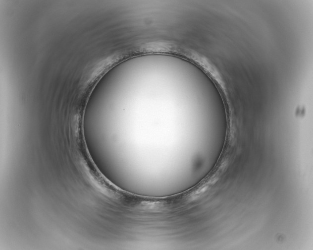 X0000093560057200711051045