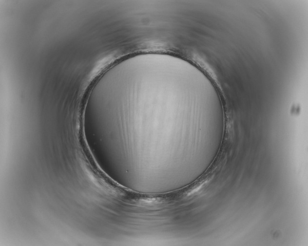 X0000093560059200711051045