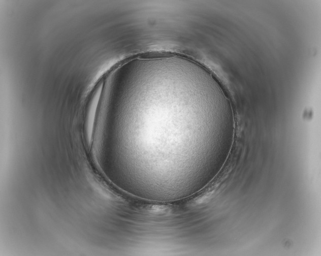 X0000093560060200711051045