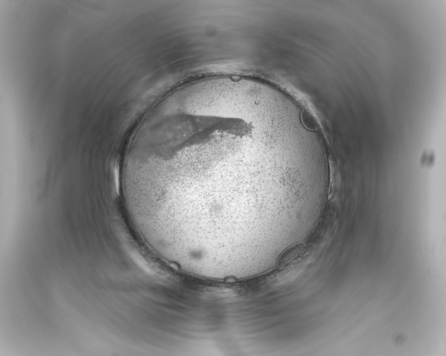 X0000093560061200711051045