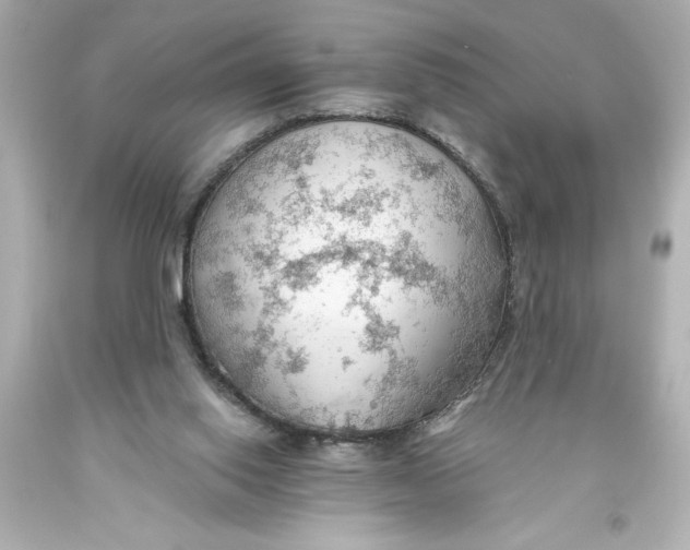 X0000093560062200711051045