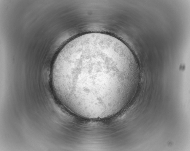 X0000093560063200711051045