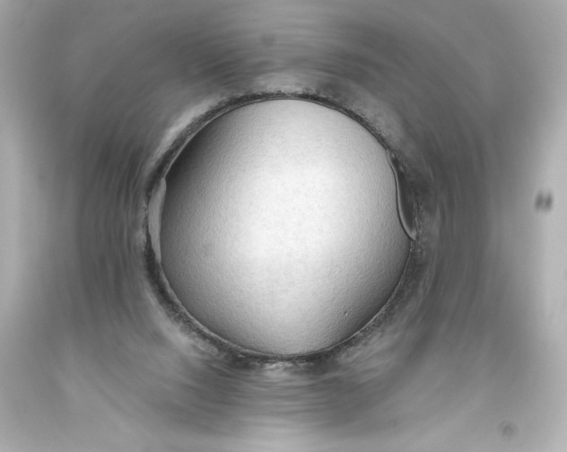 X0000093560064200711051045