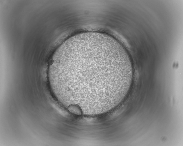 X0000093560065200711051045