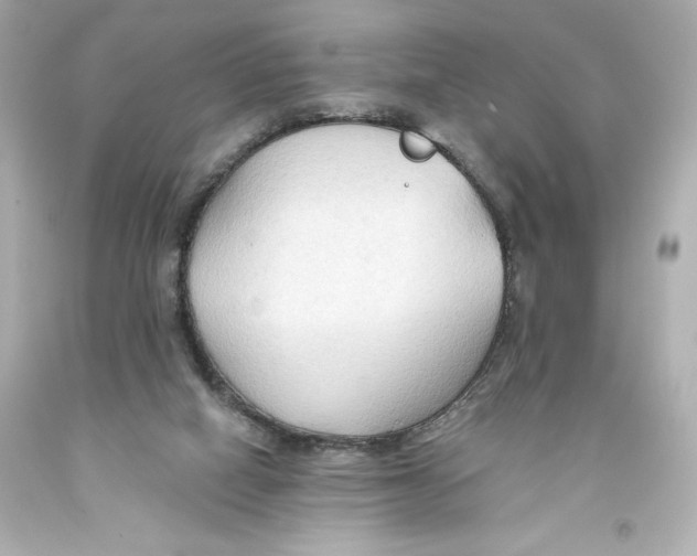 X0000093560066200711051045