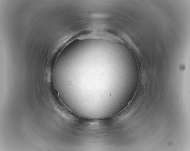 X0000093560068200711051045