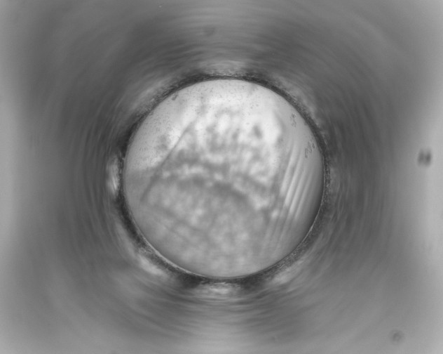 X0000093560069200711051045