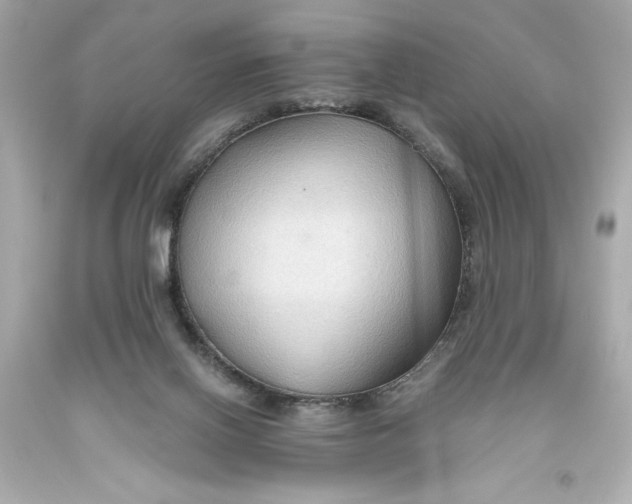X0000093560070200711051045