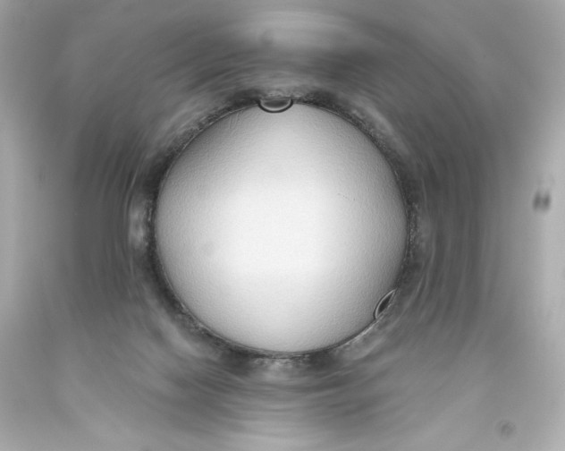 X0000093560074200711051046